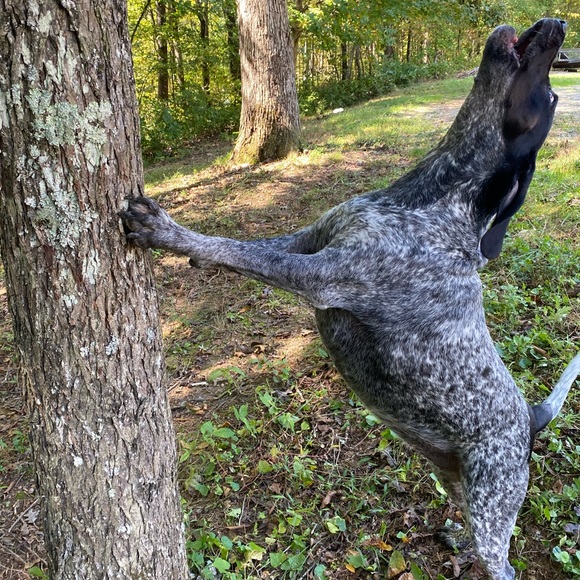 Meet your Posher, Shannon - Picture 14 of 15